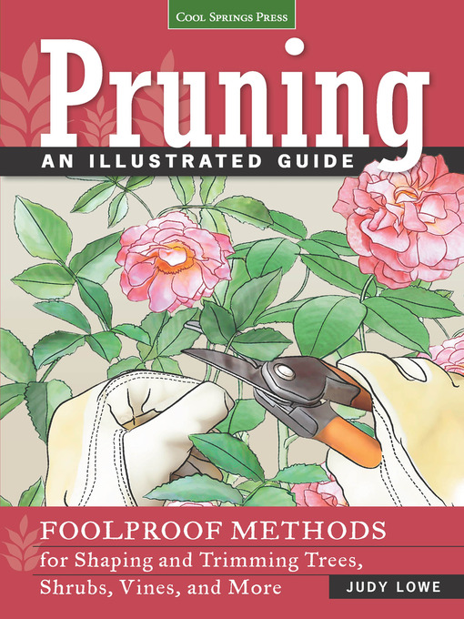 Title details for Pruning by Judy Lowe - Wait list